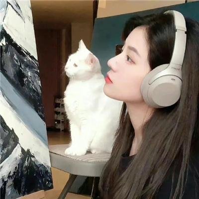 蓬门绮梦